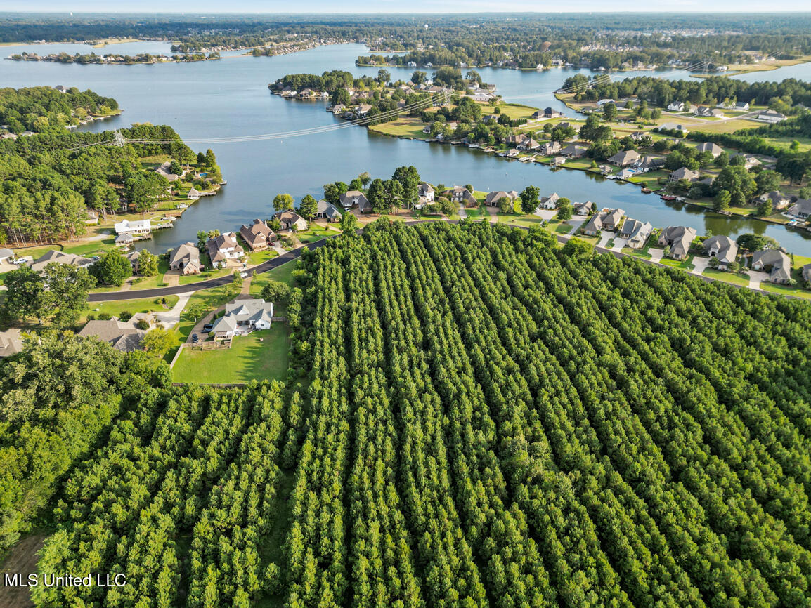 Northshore Boulevard Madison, MS 39110 - Photo 7 of 7 Lake caroline Drone rimes aug 10 final-3