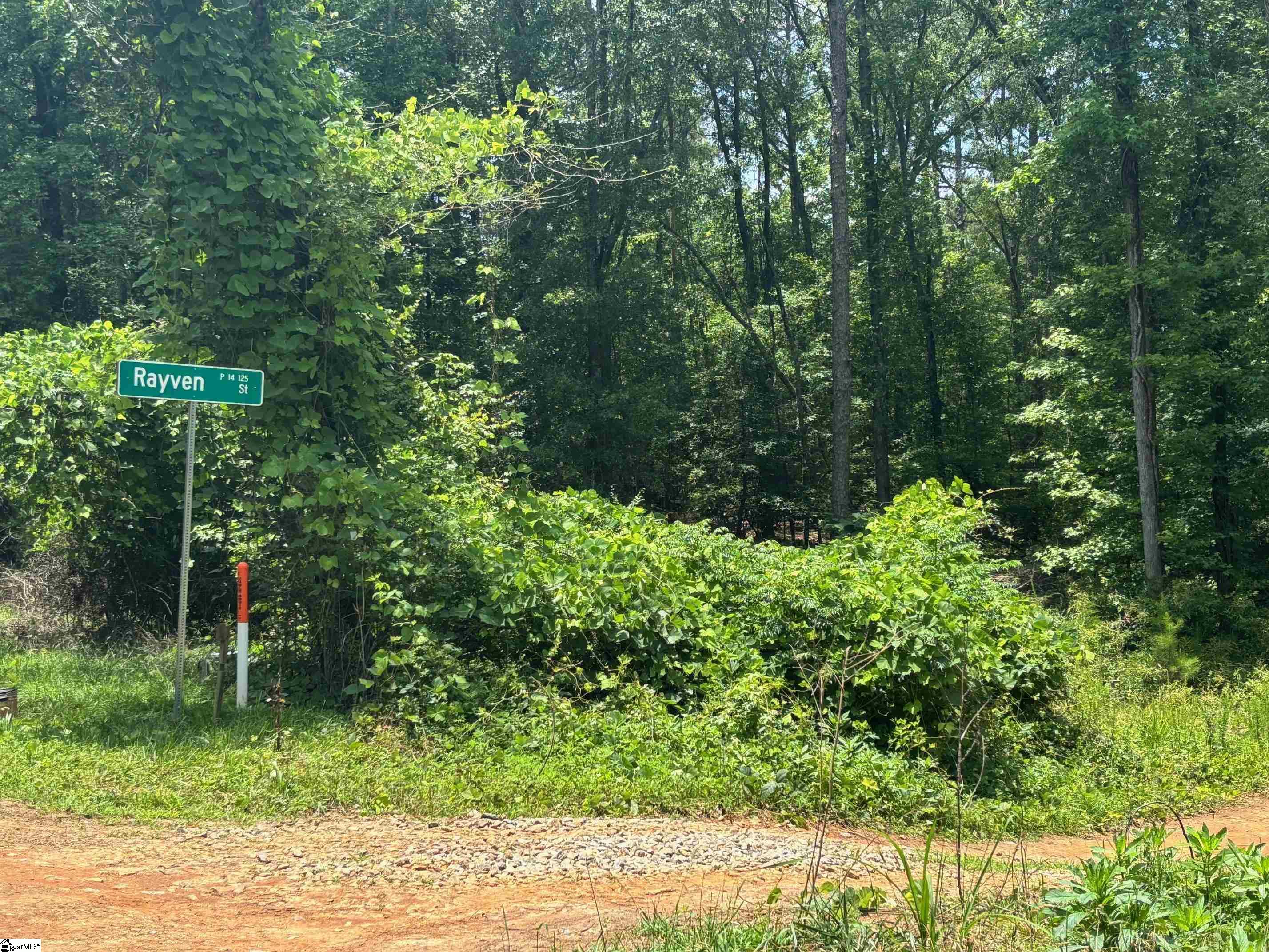 225 Rayven Street Anderson, SC 29621 - Photo 6 of 7