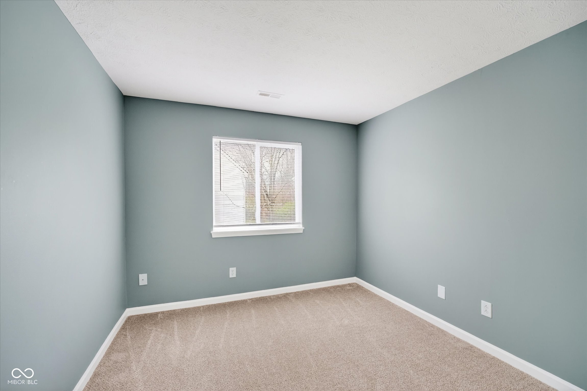 4668 Falcon Run Way Indianapolis, IN 46254 - Photo 13 of 19