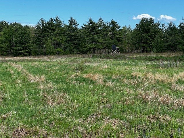 0 Granton Road Neillsville, WI 54456 - Photo 15 of 33