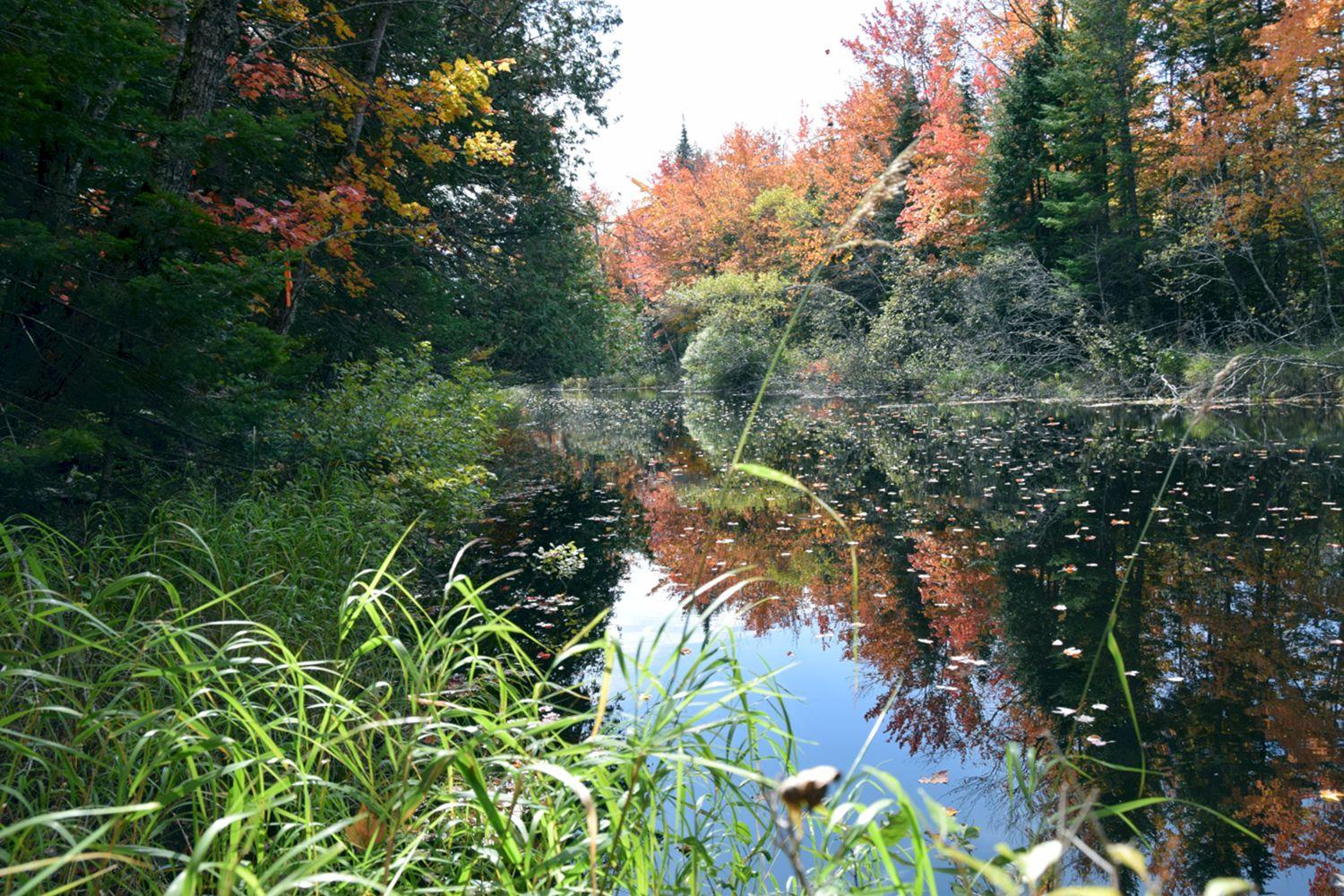 3a Halls Bridge Road Canaan, ME 04924 - Photo 7 of 11 DSC_0007 a