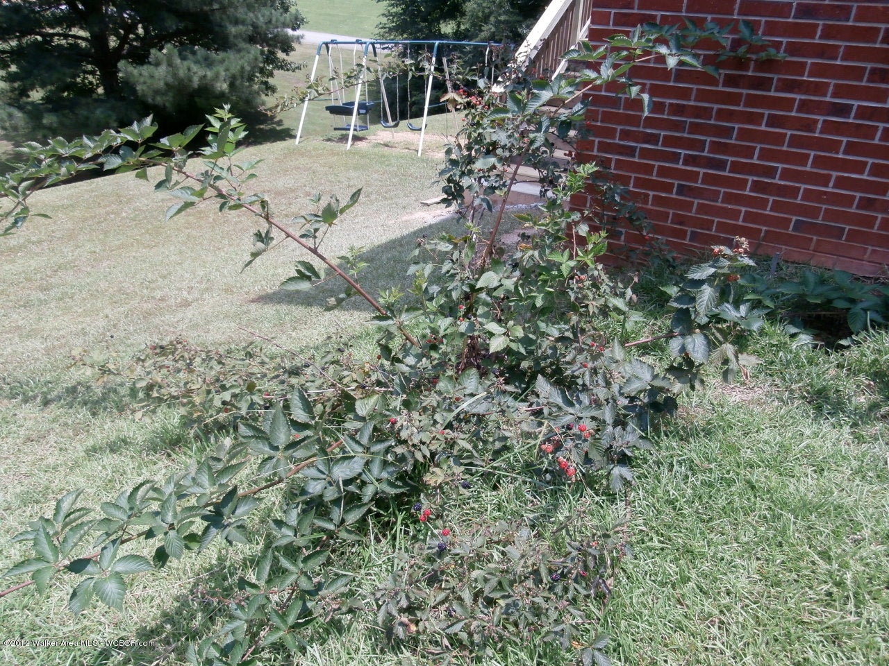 34 Hayfield Loop Dora, AL 35062 - Photo 28 of 36 Gallery Image 28