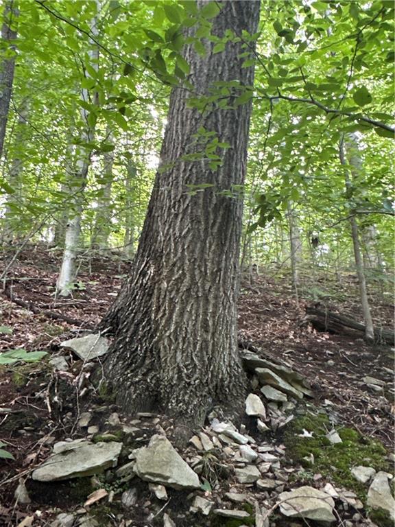 0 Matson Road Ligonier, PA 15658 - Photo 27 of 32