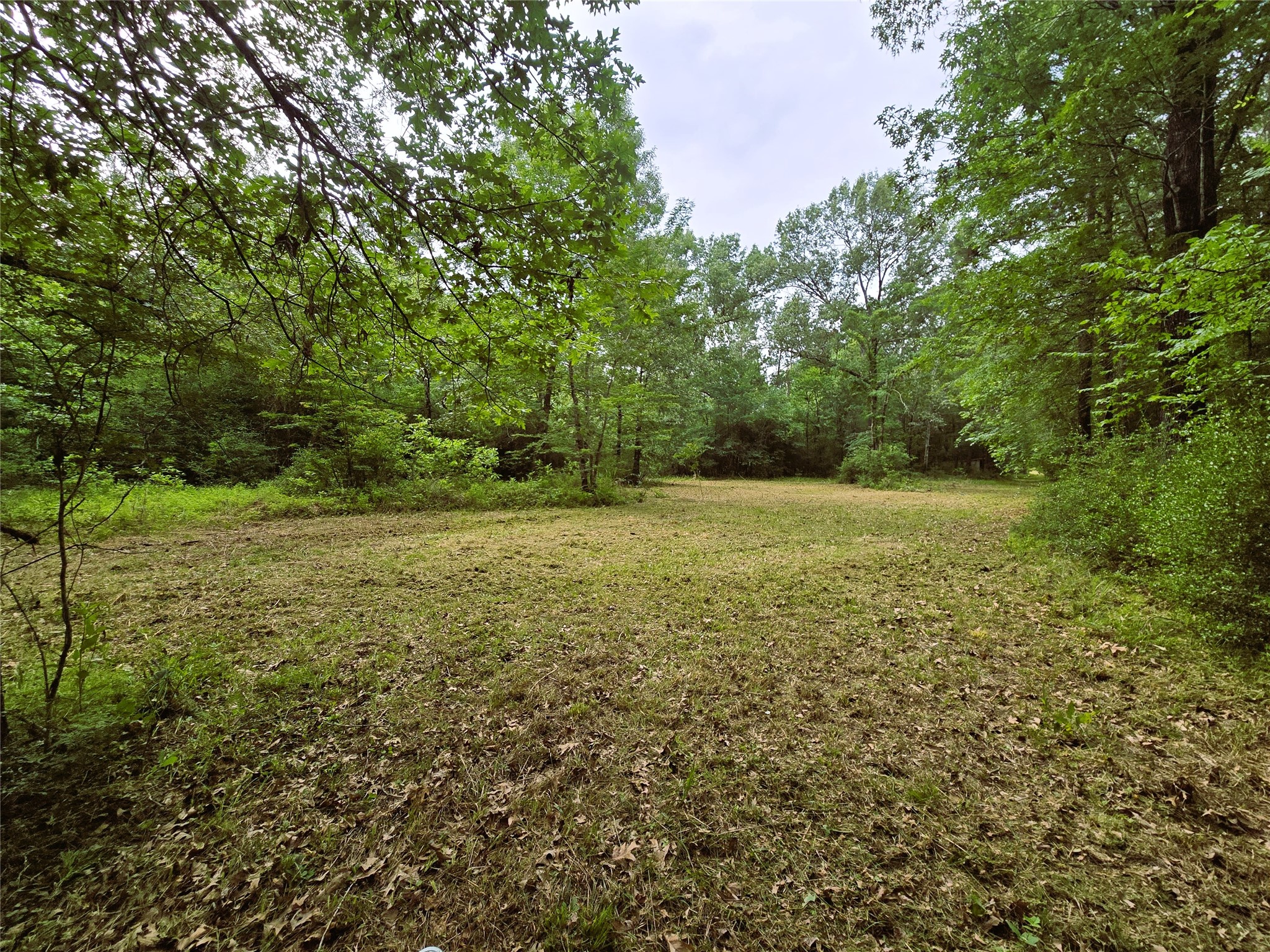 278 Reggie Lane Trinity, TX 75862 - Photo 3 of 16