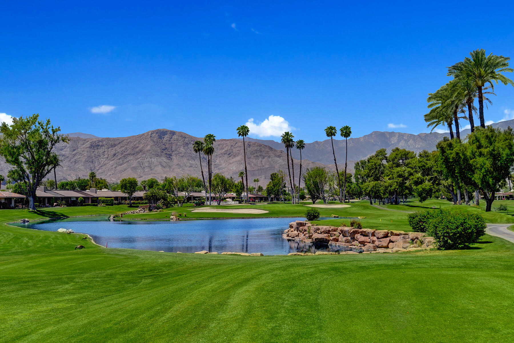 6 Colgate Drive Rancho Mirage, CA 92270 - Photo 32 of 32 a view of a park and trees