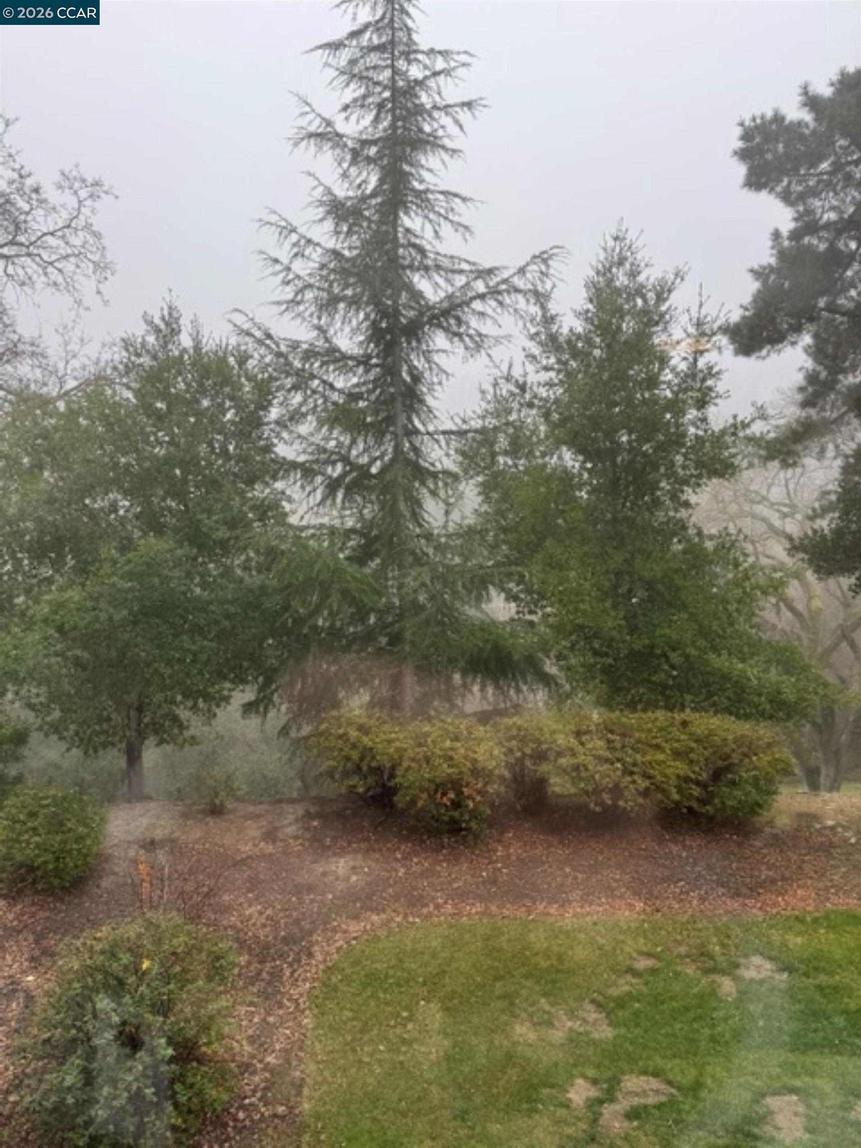 1857 Golden Rain Road, Unit 1 Walnut Creek, CA 94595 - Photo 41 of 43