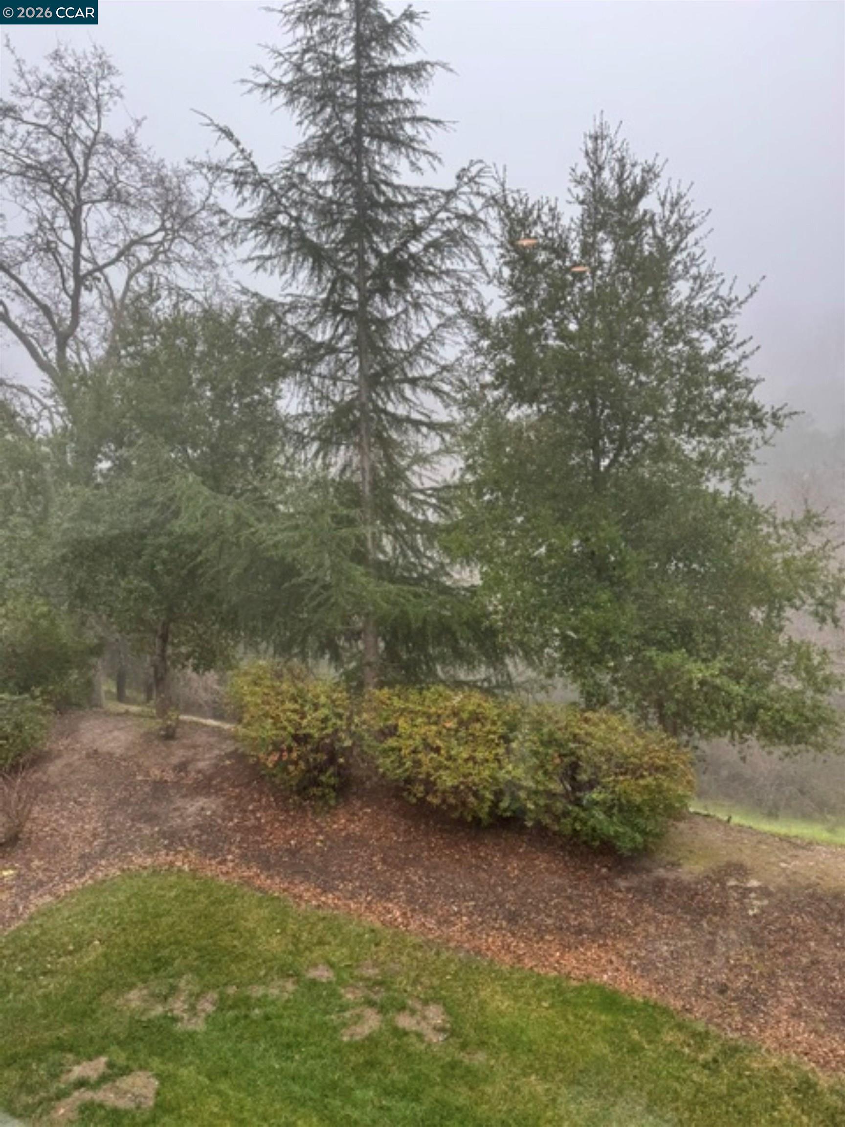 1857 Golden Rain Road, Unit 1 Walnut Creek, CA 94595 - Photo 43 of 43