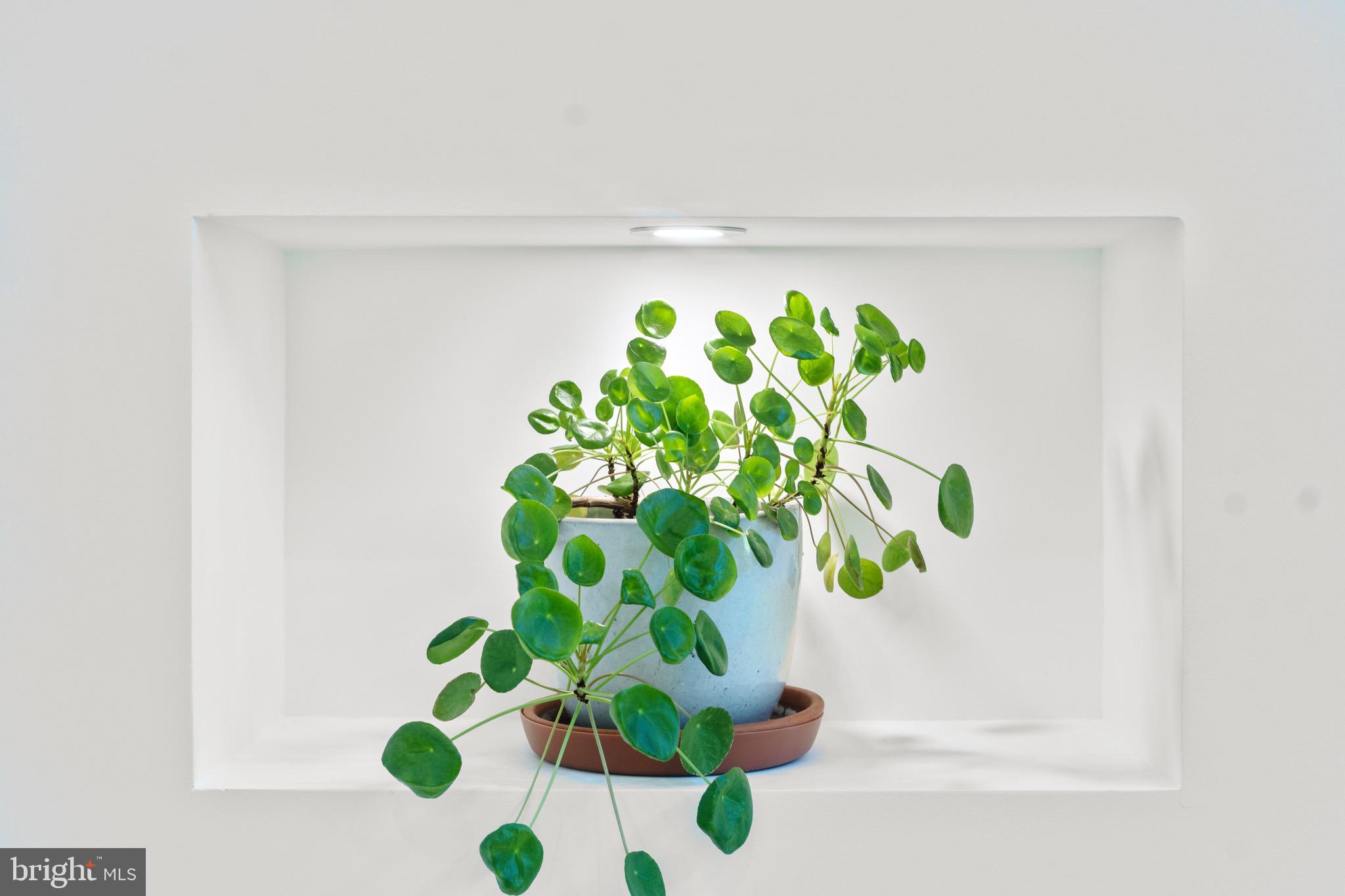 3311 Redden Ferry Road Eden, MD 21822 - Photo 18 of 75