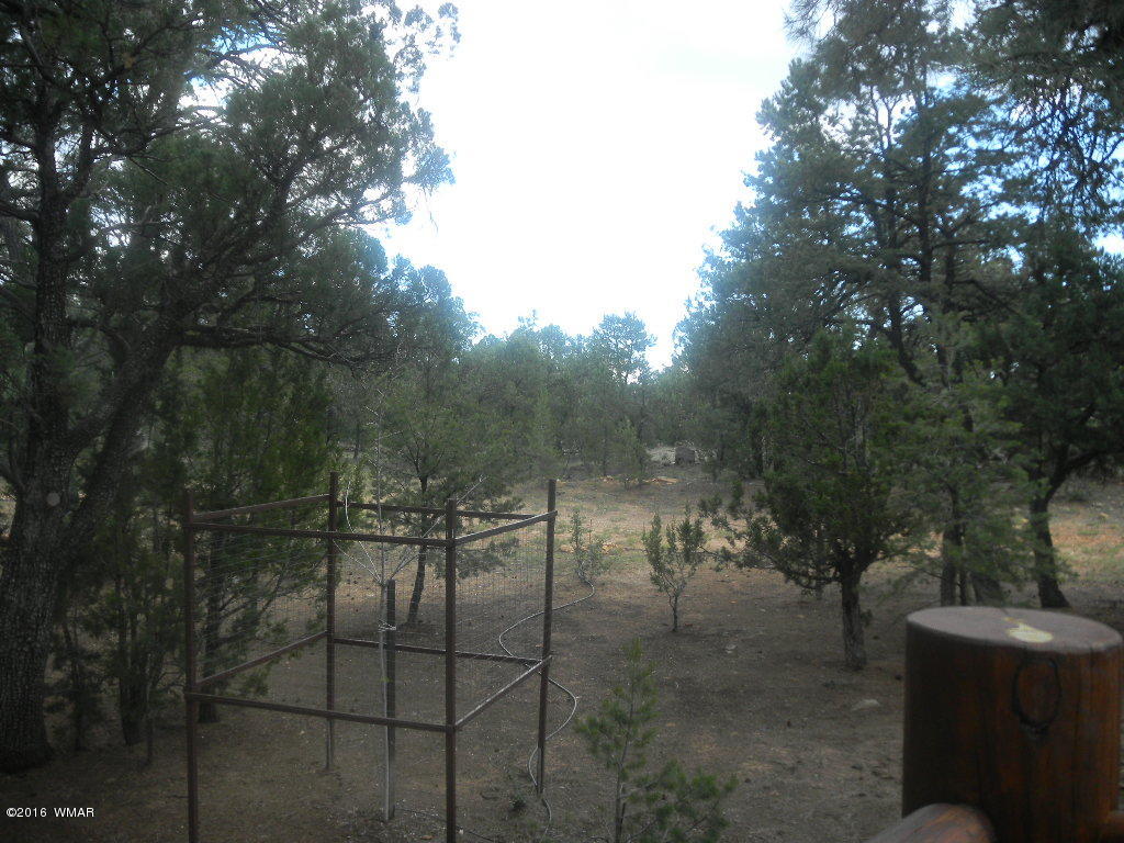 1533 Mainline Road Heber, AZ 85928 - Photo 7 of 36 Gallery Image 7