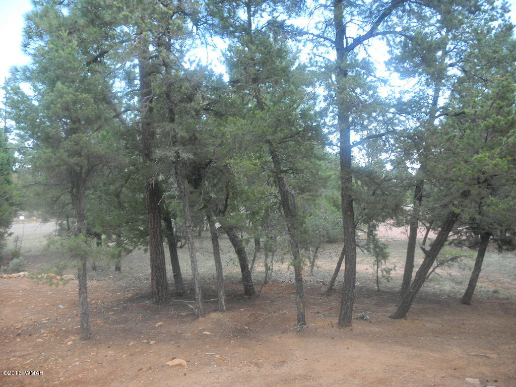 1533 Mainline Road Heber, AZ 85928 - Photo 8 of 36 Gallery Image 8