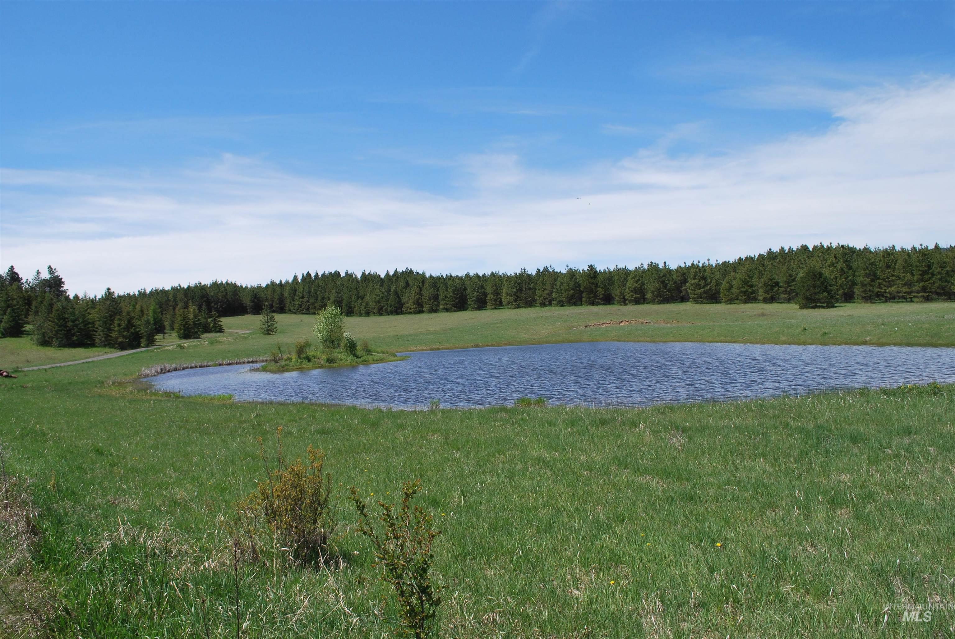 Tbd Middle Road Ahsahka, ID 83520 - Photo 2 of 31