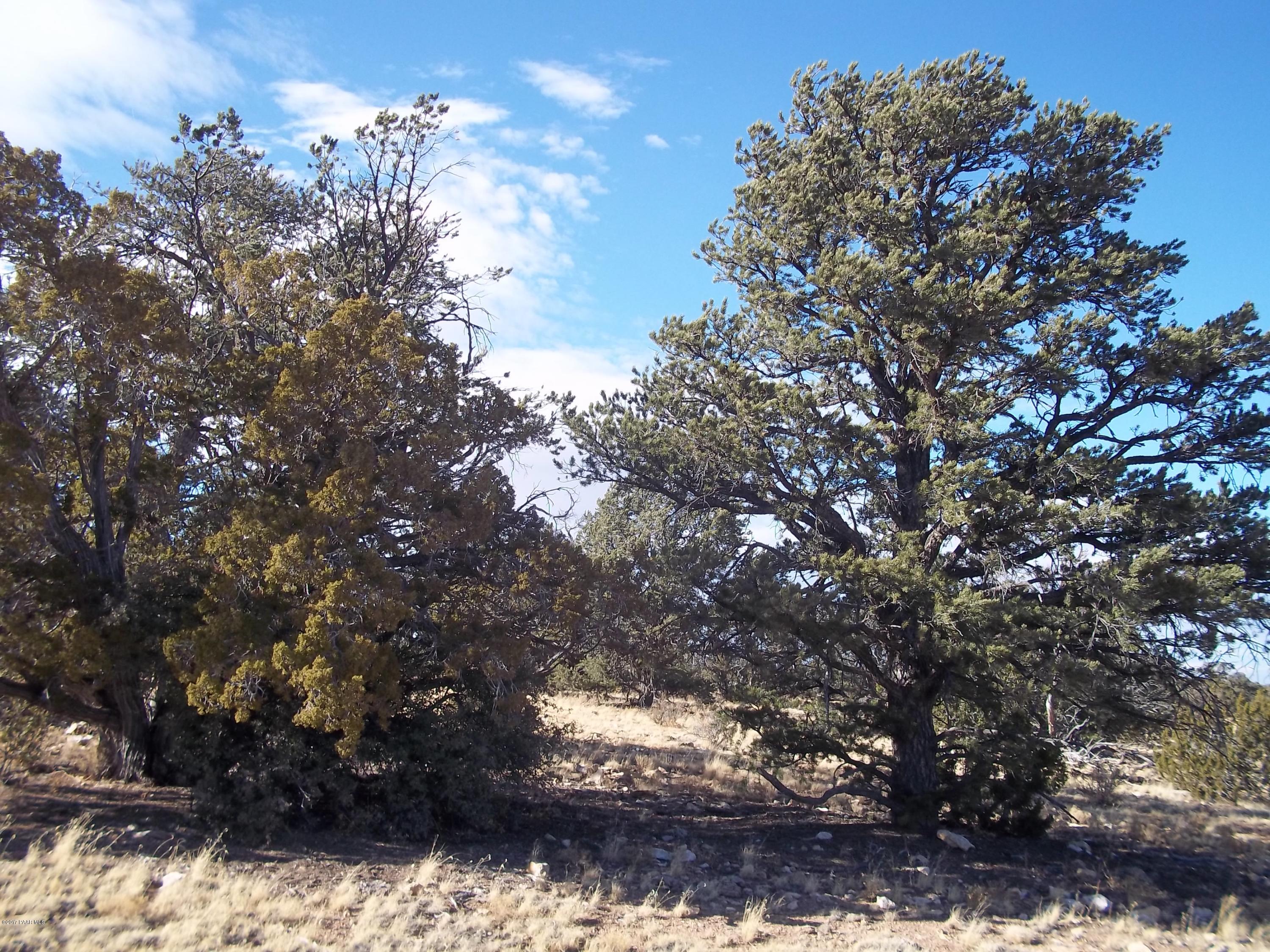 5833 South Estrella Road Williams, AZ 86046 - Photo 3 of 6 100_1311