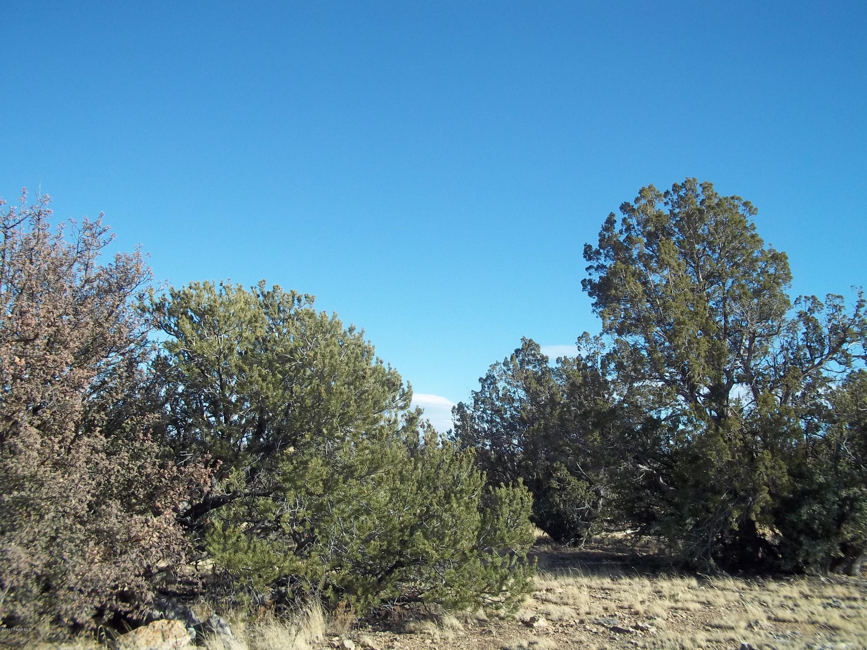 5833 South Estrella Road Williams, AZ 86046 - Photo 4 of 6 100_1306