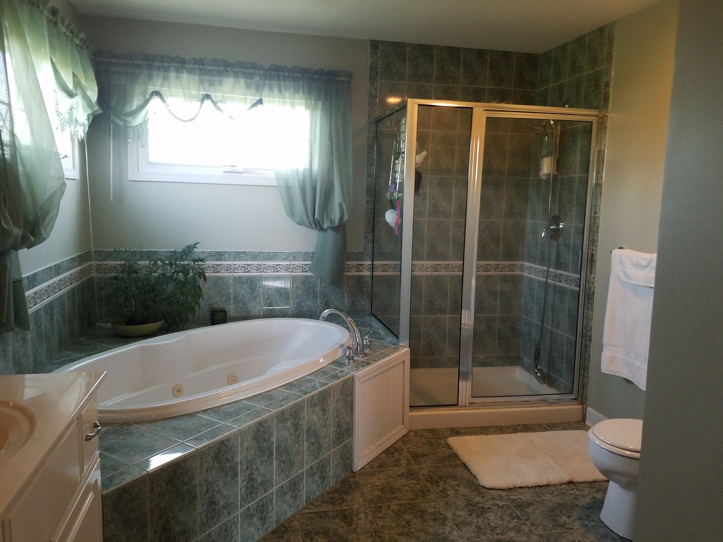 50W180 Ramm Road Maple Park, IL 60151 - Photo 26 of 35