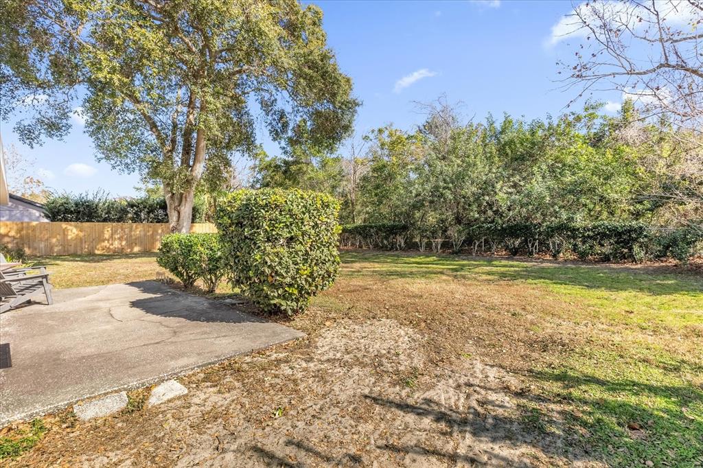 411 Cherry Tree Street Eustis, FL 32726 - Photo 21 of 27