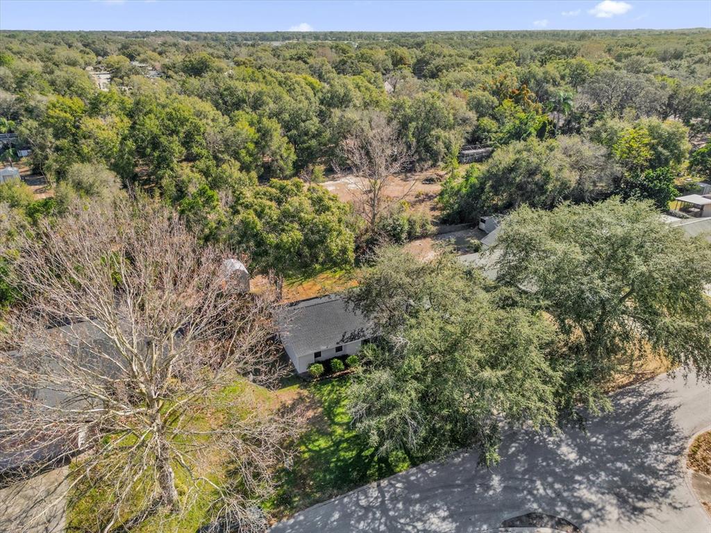 411 Cherry Tree Street Eustis, FL 32726 - Photo 23 of 27