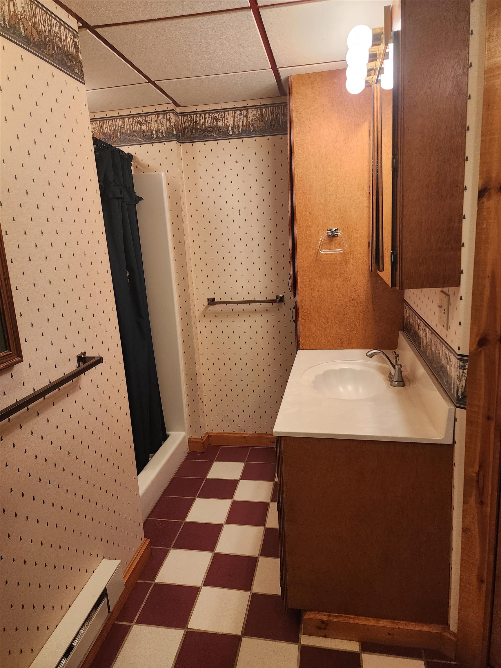 243 West Blue Grass Road Mount Pleasant, MI 48858 - Photo 32 of 44 1927746-73728964-2c84-4056-9e7c-4380b2aeb2ea.JPG