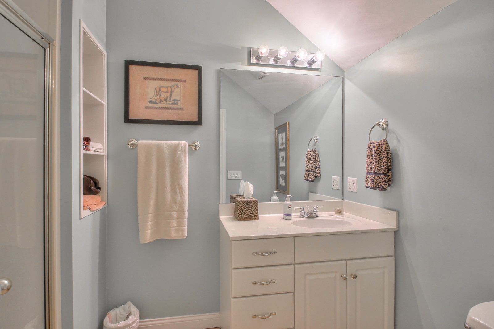 244 Chester Stevens Road Franklin, TN 37067 - Photo 39 of 56 a bathroom with a double vanity sink and a mirror