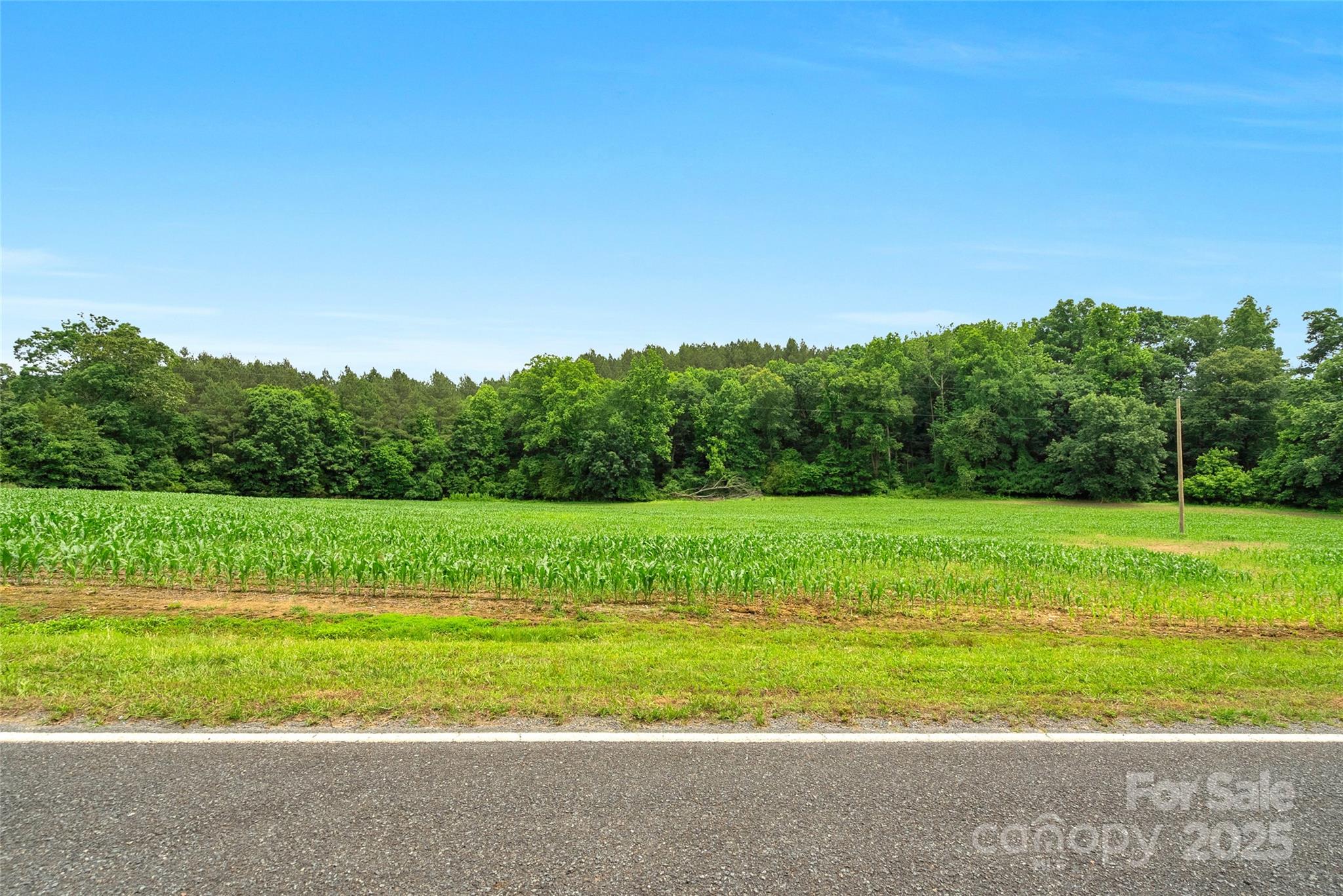 0 Lucy Short Cut Road, Unit 4 Marshville, NC 28103 - Photo 12 of 25