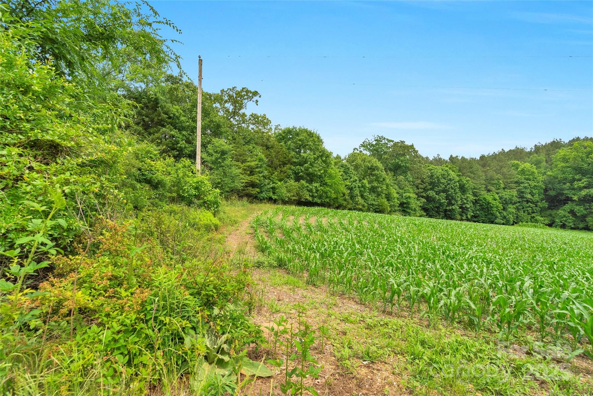 0 Lucy Short Cut Road, Unit 4 Marshville, NC 28103 - Photo 16 of 25