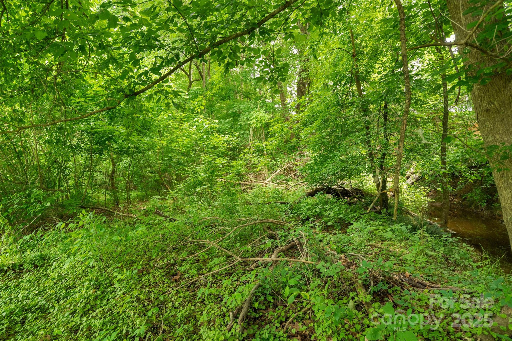 0 Lucy Short Cut Road, Unit 4 Marshville, NC 28103 - Photo 18 of 25