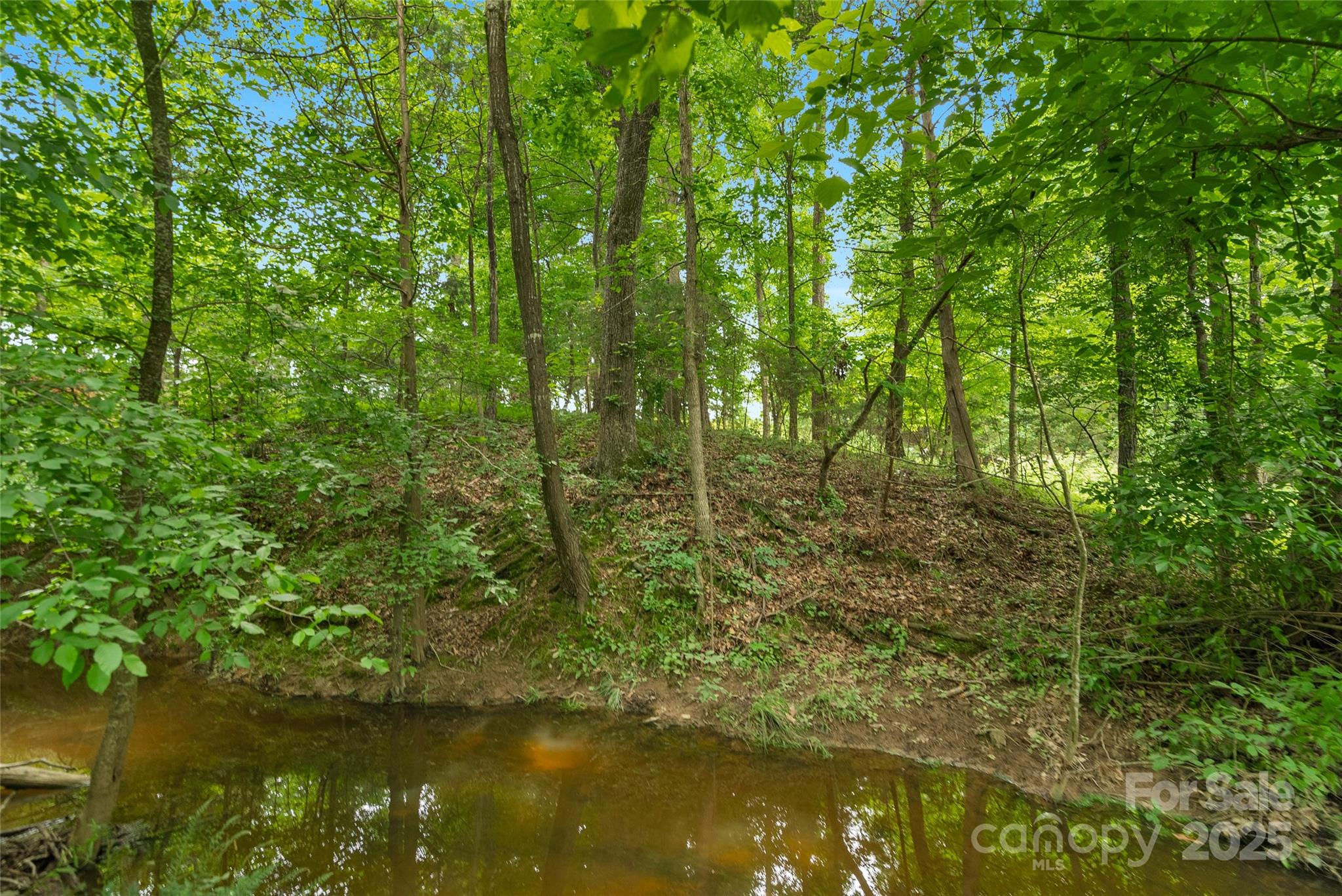 0 Lucy Short Cut Road, Unit 4 Marshville, NC 28103 - Photo 20 of 25
