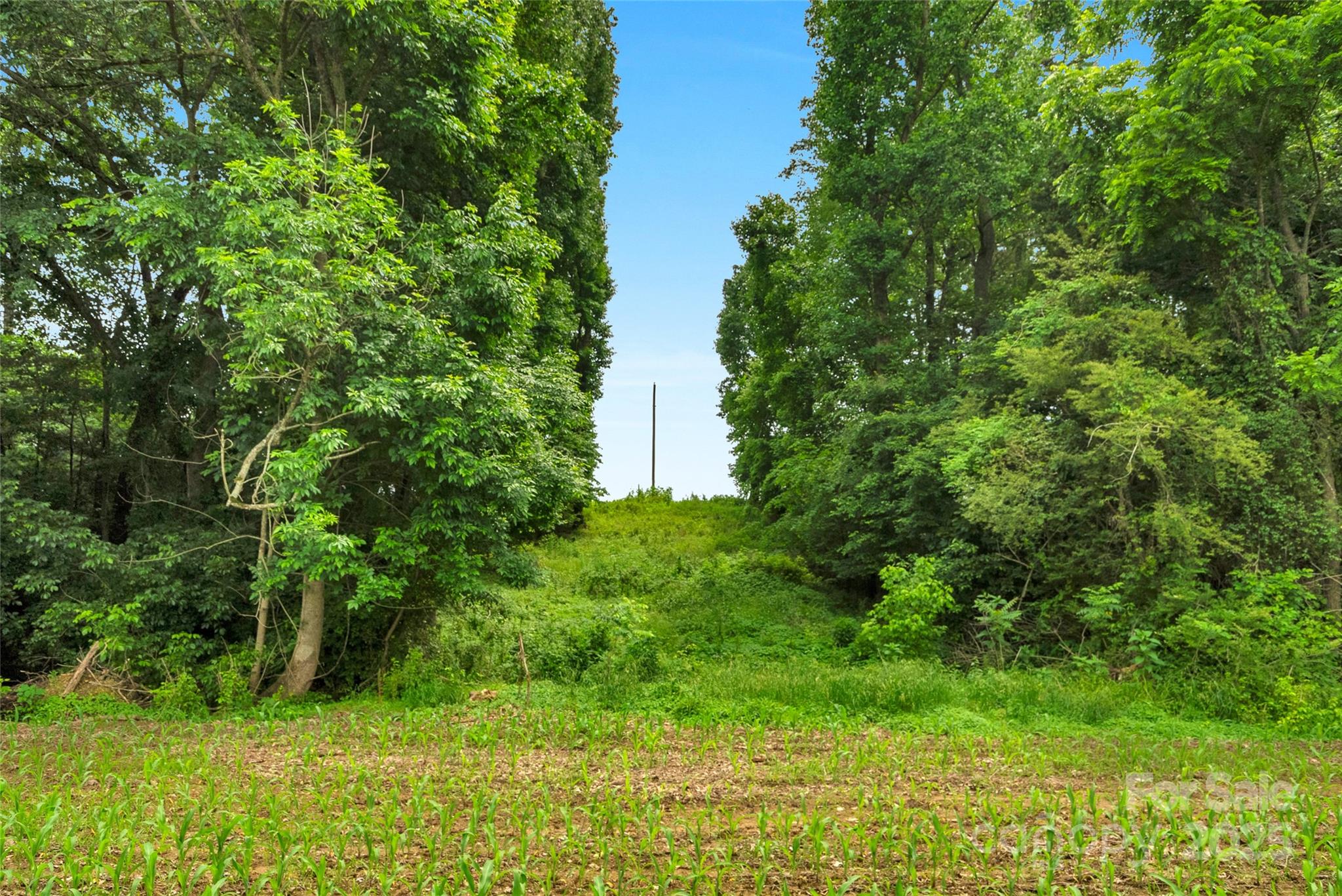 0 Lucy Short Cut Road, Unit 4 Marshville, NC 28103 - Photo 22 of 25