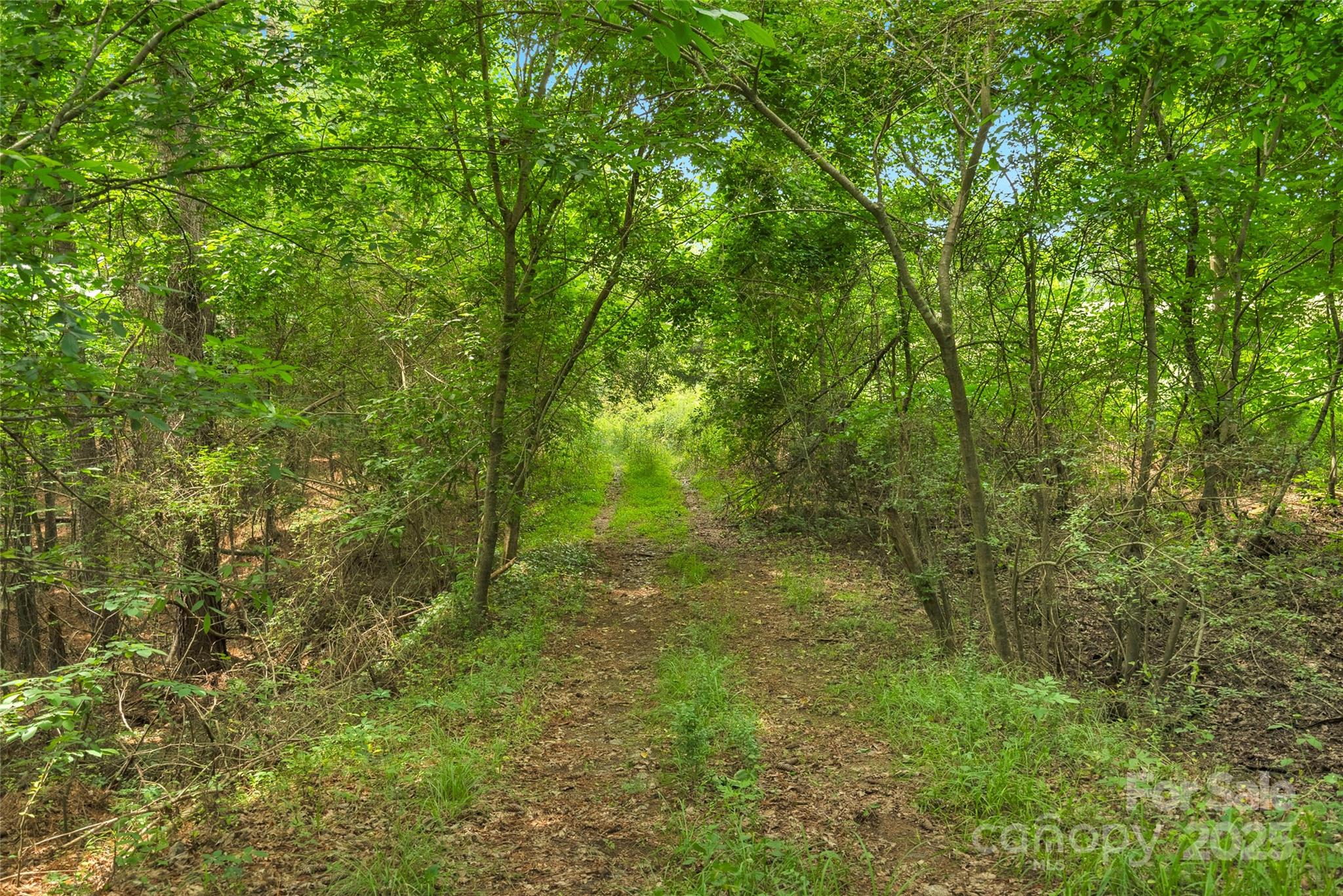 0 Lucy Short Cut Road, Unit 4 Marshville, NC 28103 - Photo 24 of 25
