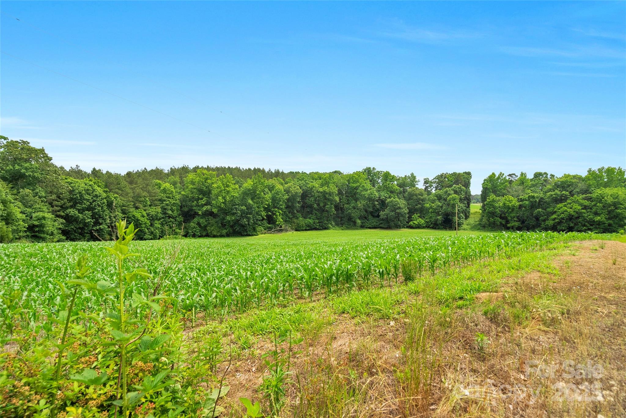 0 Lucy Short Cut Road, Unit 4 Marshville, NC 28103 - Photo 3 of 25