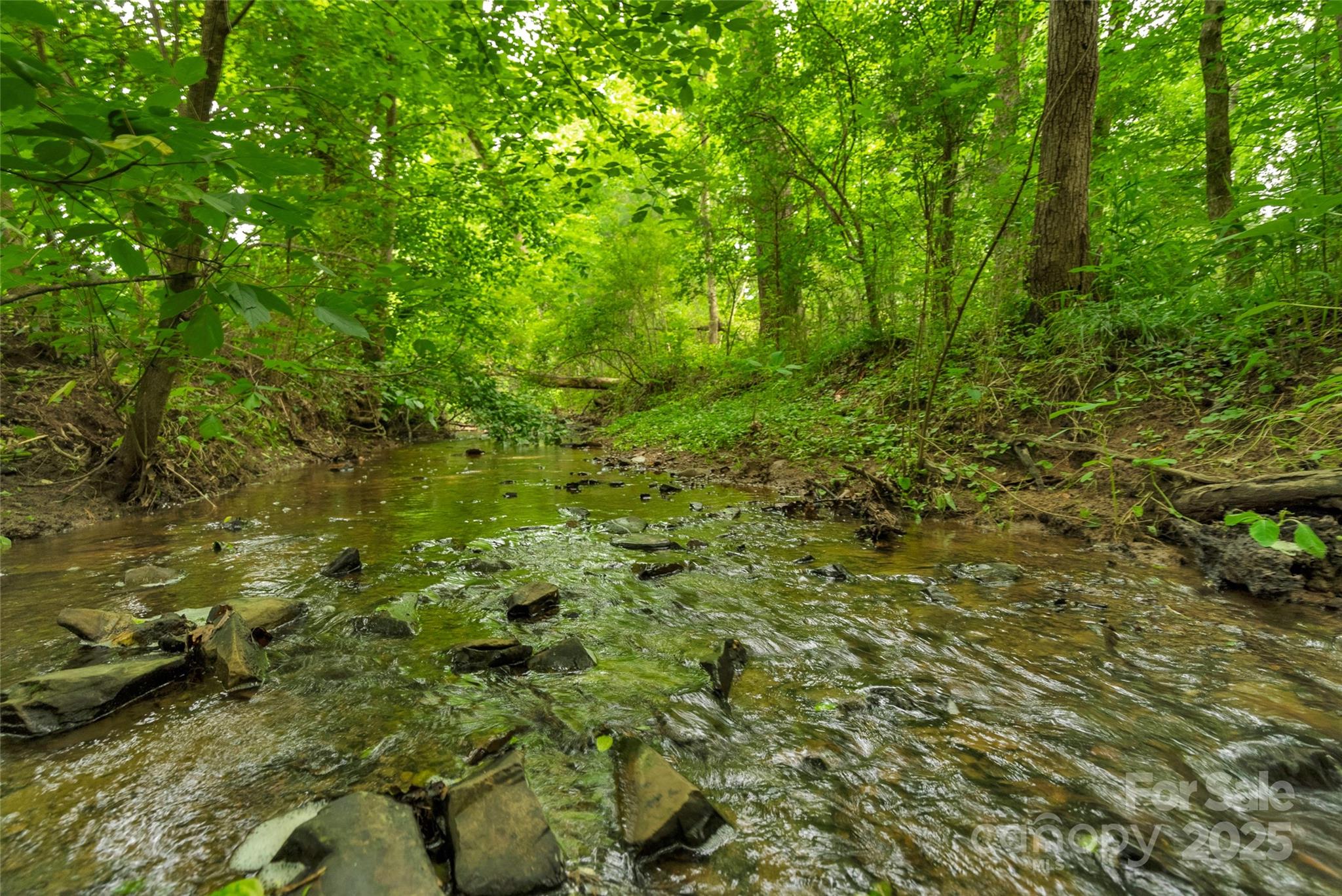 0 Lucy Short Cut Road, Unit 4 Marshville, NC 28103 - Photo 4 of 25