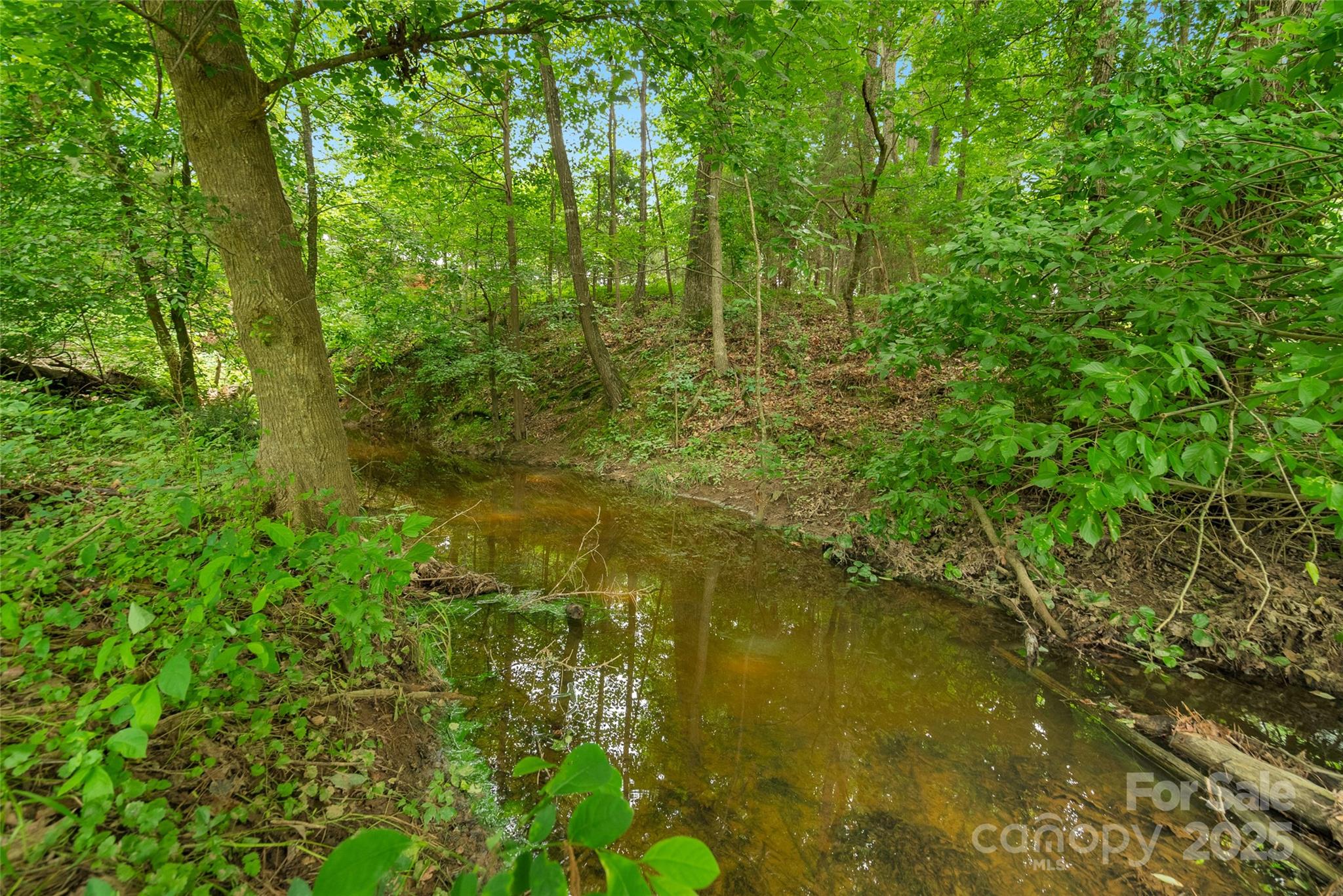 0 Lucy Short Cut Road, Unit 4 Marshville, NC 28103 - Photo 8 of 25
