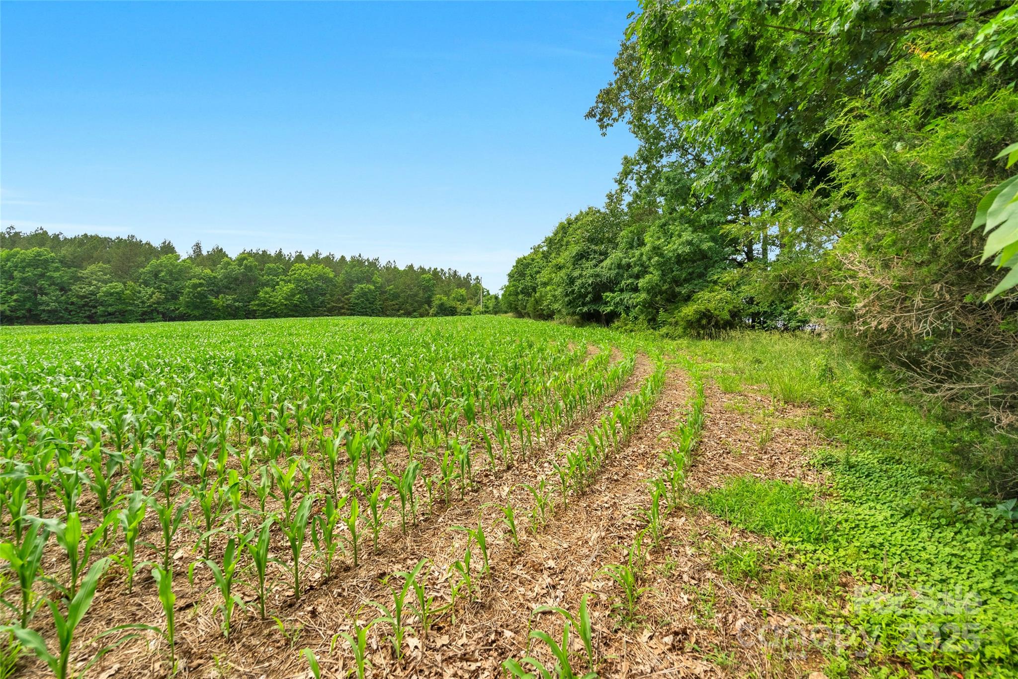 0 Lucy Short Cut Road, Unit 4 Marshville, NC 28103 - Photo 10 of 25