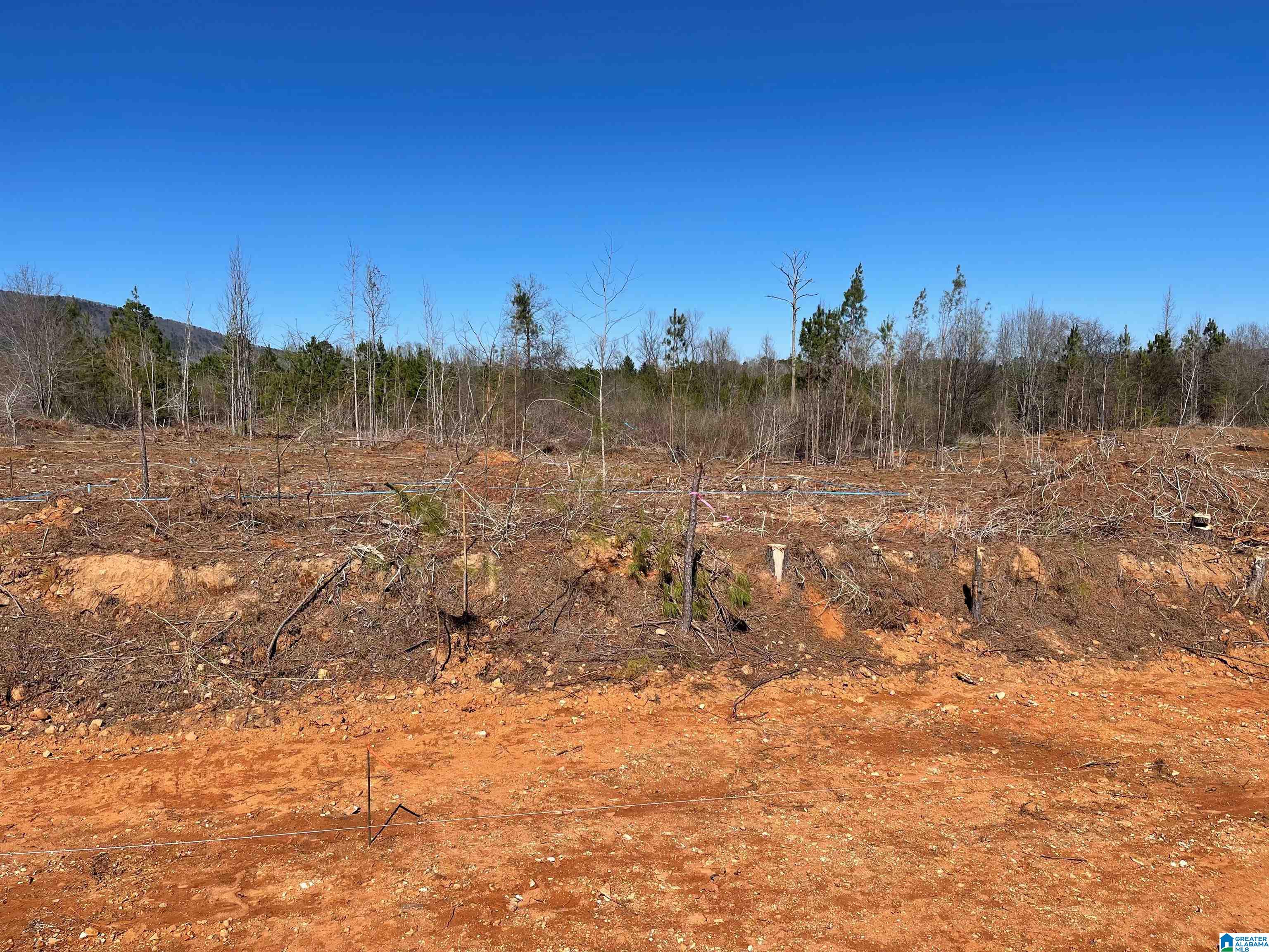 Freedom Way, Unit 97 Weaver, AL 36277 - Photo 1 of 1