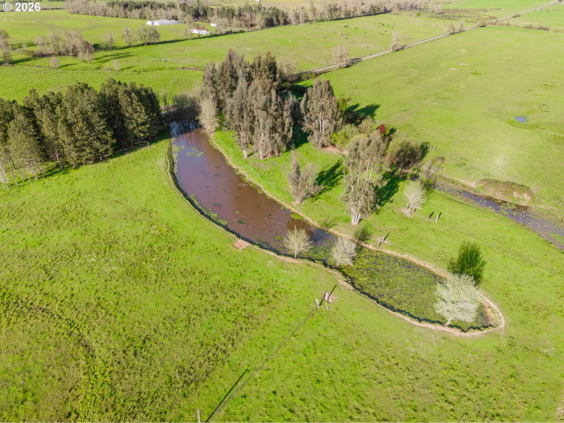 8160 Lookingglass Road Roseburg, OR 97471 - Photo 43 of 48