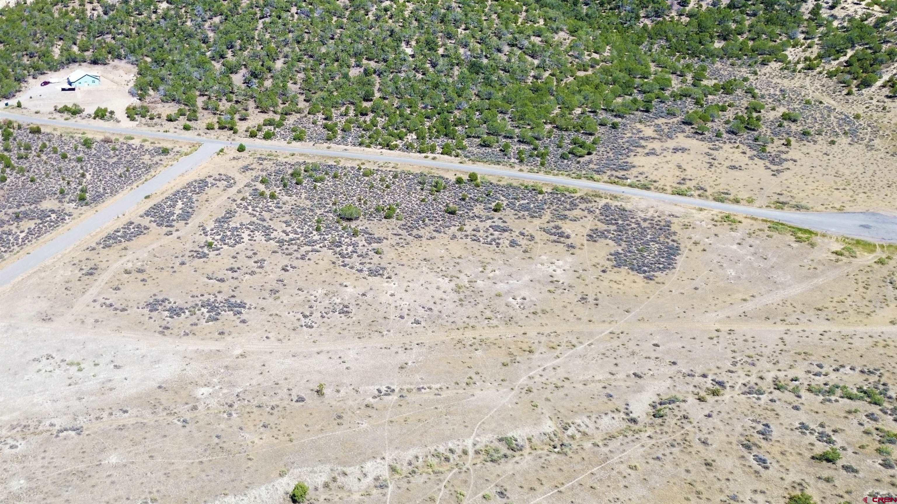Tbd Lot 26 Tbd Road Montrose, CO 81401 - Photo 9 of 15 a view of a dry yard with trees