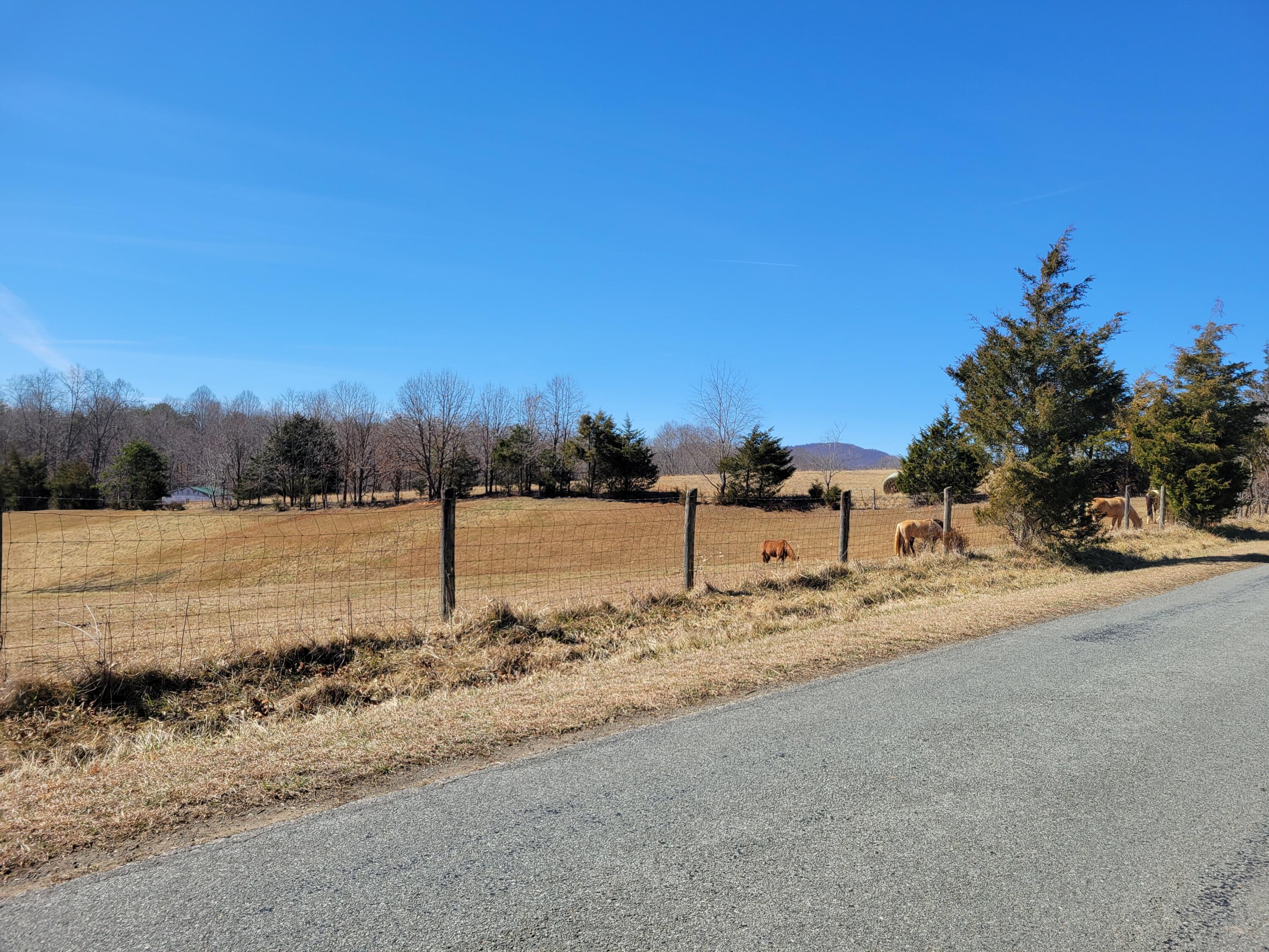 3038 Eton Road Hardy, VA 24101 - Photo 21 of 22 20250228_130925