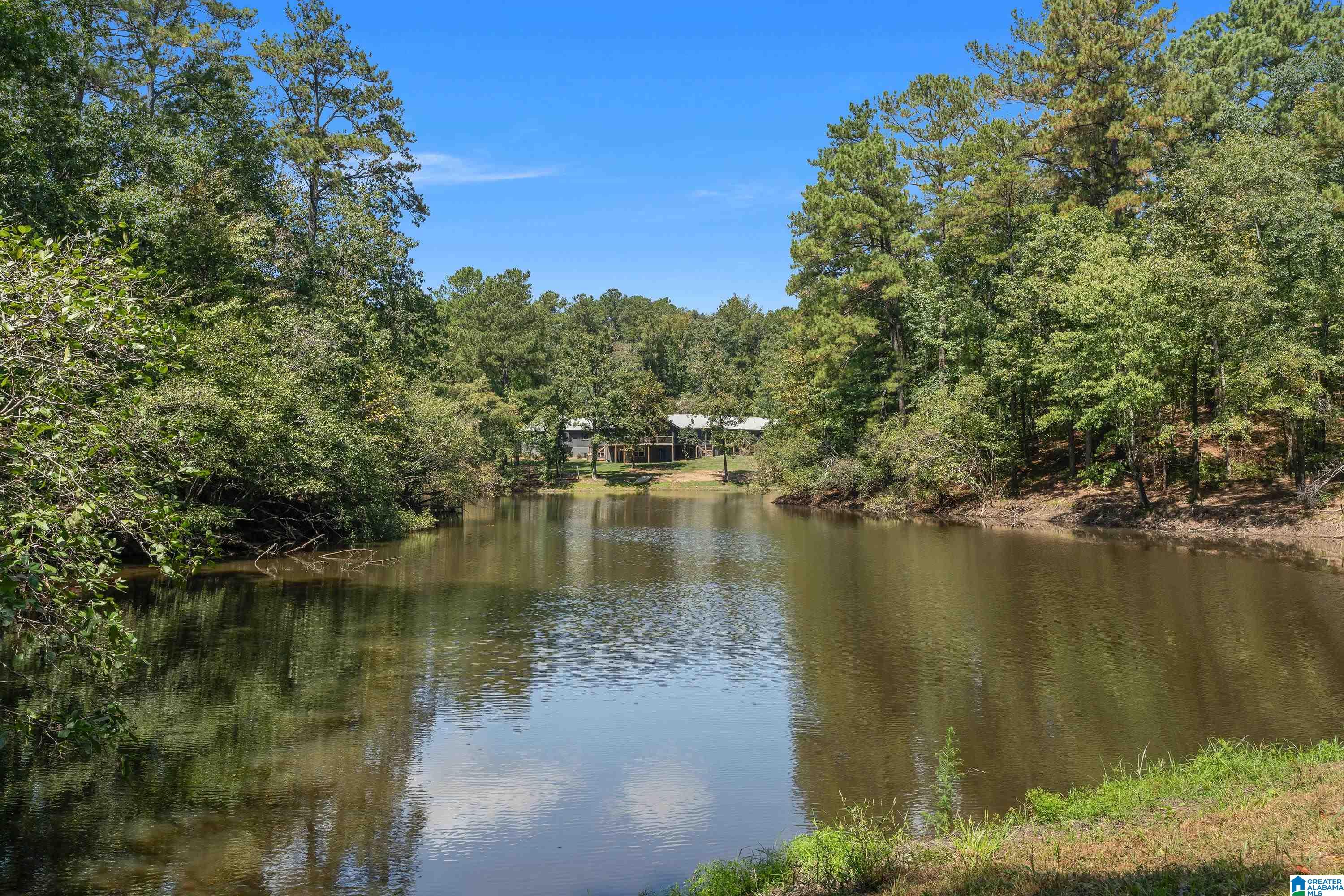 9215 Bear Creek Road Sterrett, AL 35147 - Photo 77 of 99