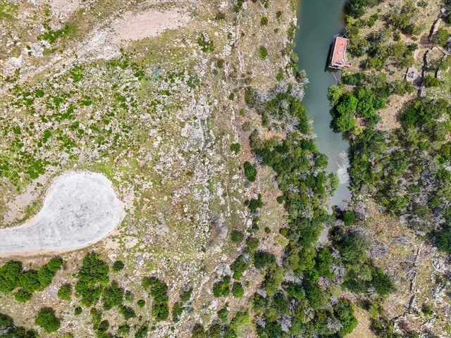 a picture of a plant