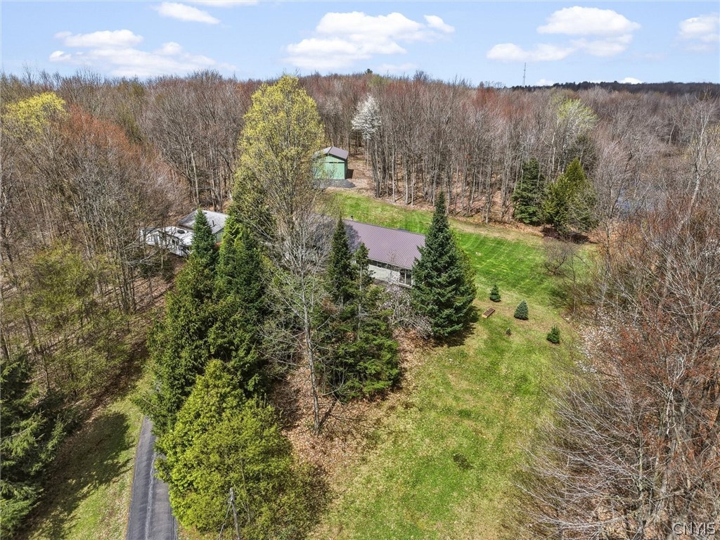 82 Peat Bed Road Hannibal, NY 13074 - Photo 35 of 43