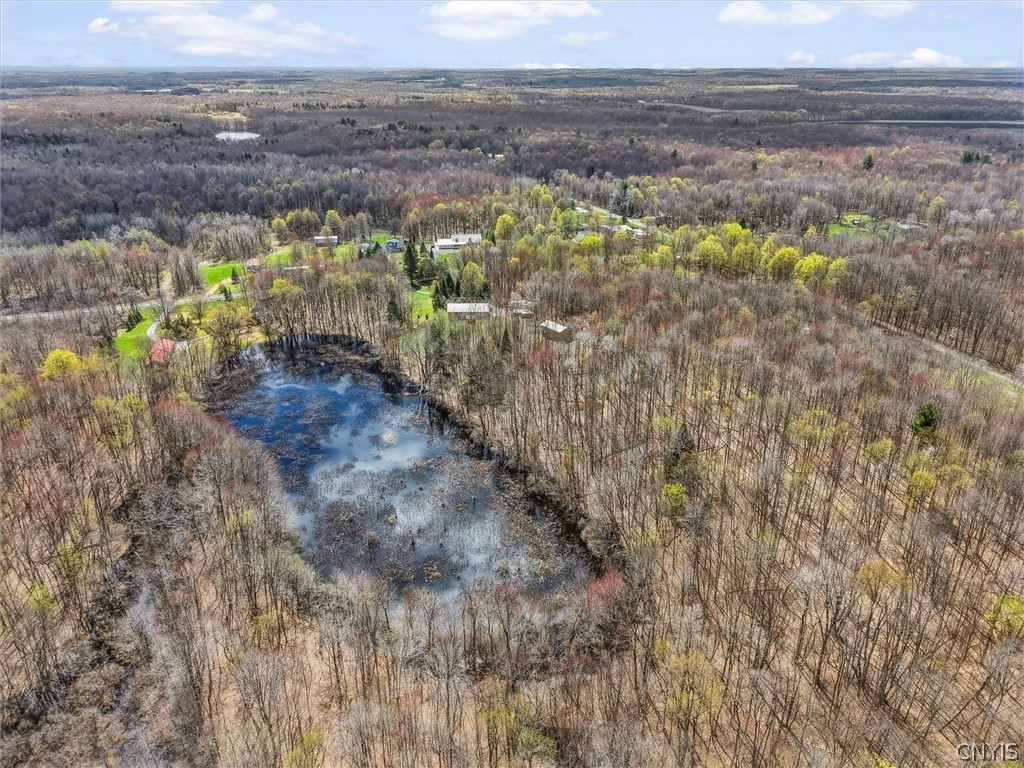 82 Peat Bed Road Hannibal, NY 13074 - Photo 40 of 43