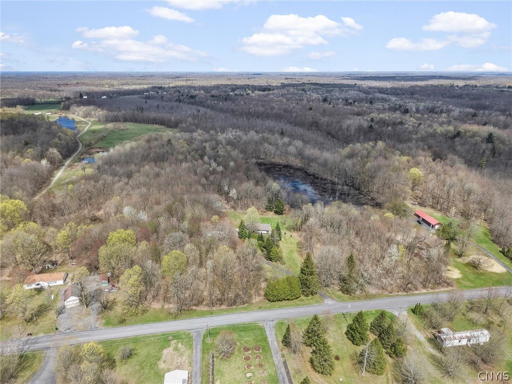82 Peat Bed Road Hannibal, NY 13074 - Photo 42 of 43