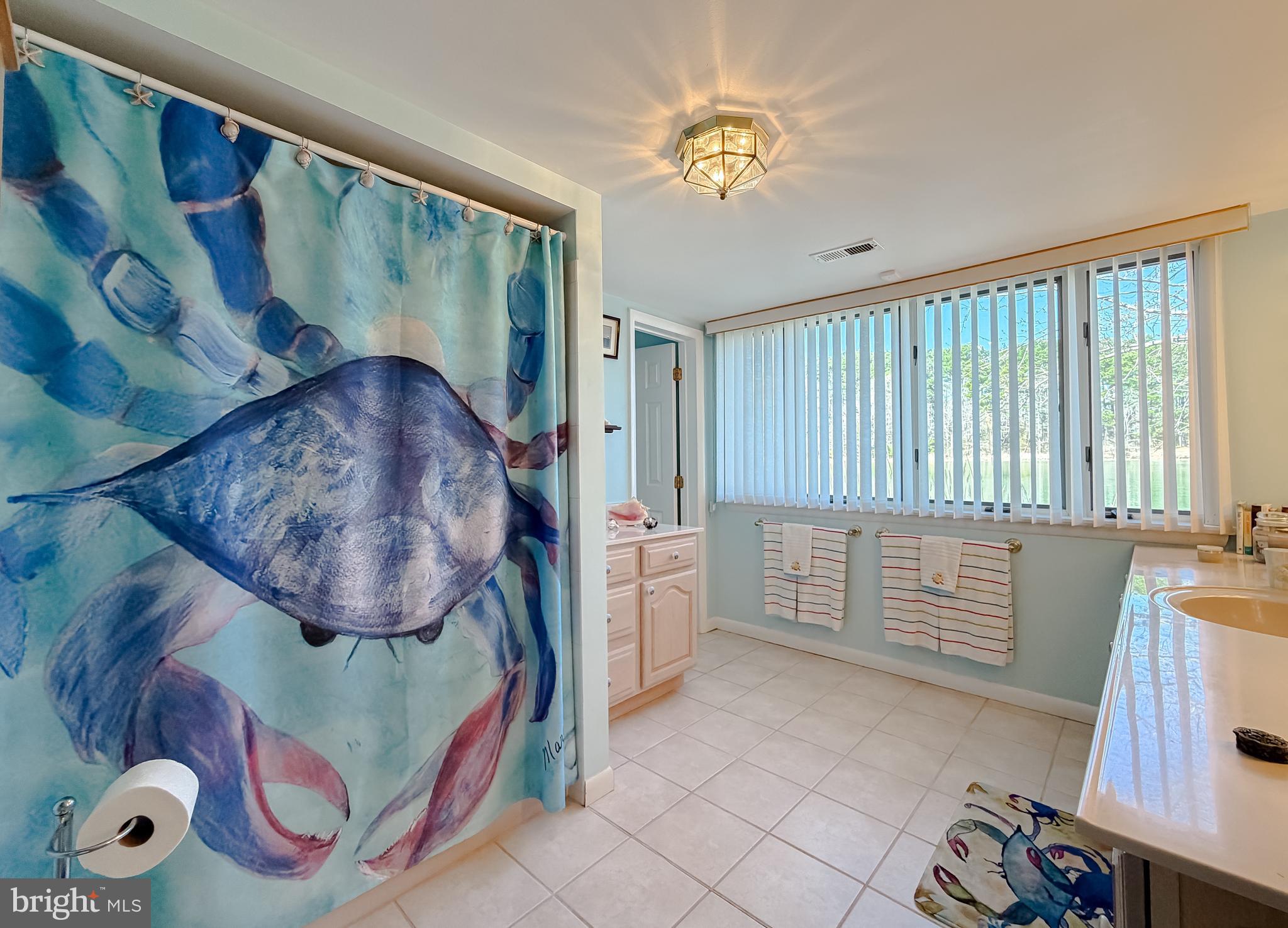 49716 Airedele Road Ridge, MD 20680 - Photo 39 of 101 Main level full bath