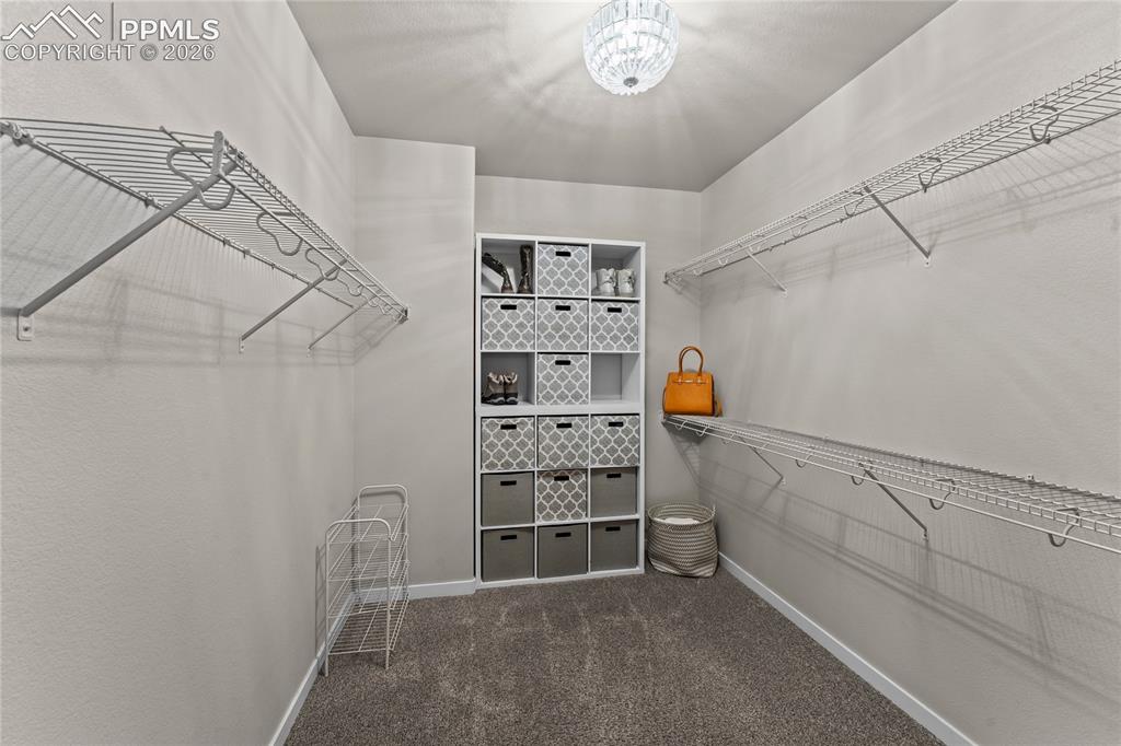 1168 Foothills Farm Way Colorado Springs, CO 80921 - Photo 24 of 50