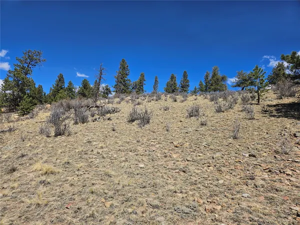 $98,000 | 636 Bonell Drive, Fairplay, CO 80440