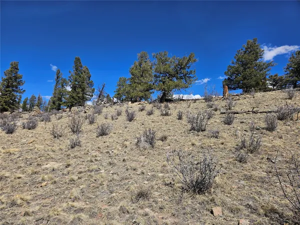 $98,000 | 636 Bonell Drive, Fairplay, CO 80440