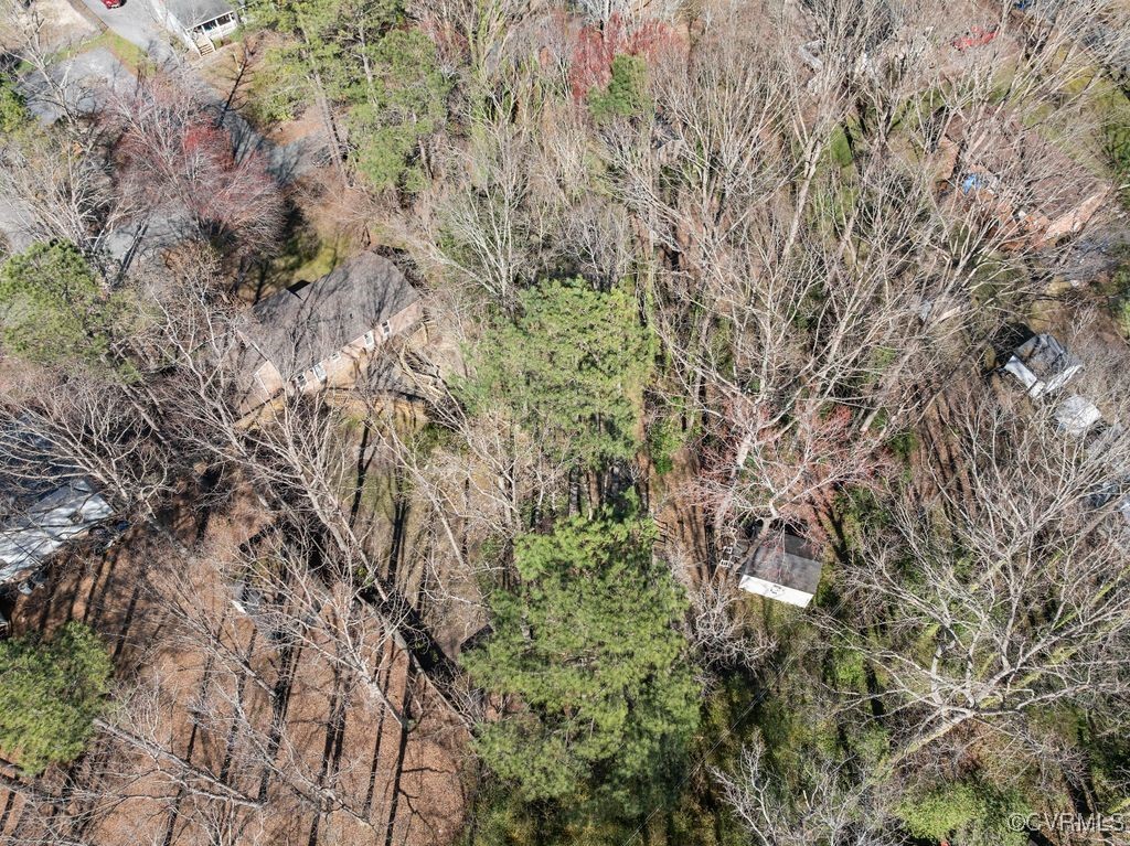 11041 Moravia Road Midlothian, VA 23112 - Photo 36 of 38 a view of a forest with a tree