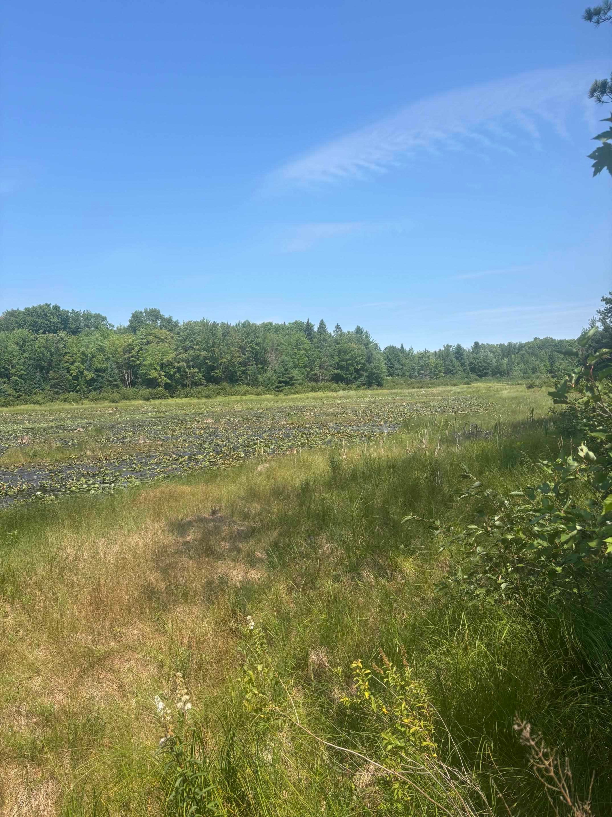 W9460 1 Mile Road Dunbar, WI 54119 - Photo 18 of 56 Gallery Image 18