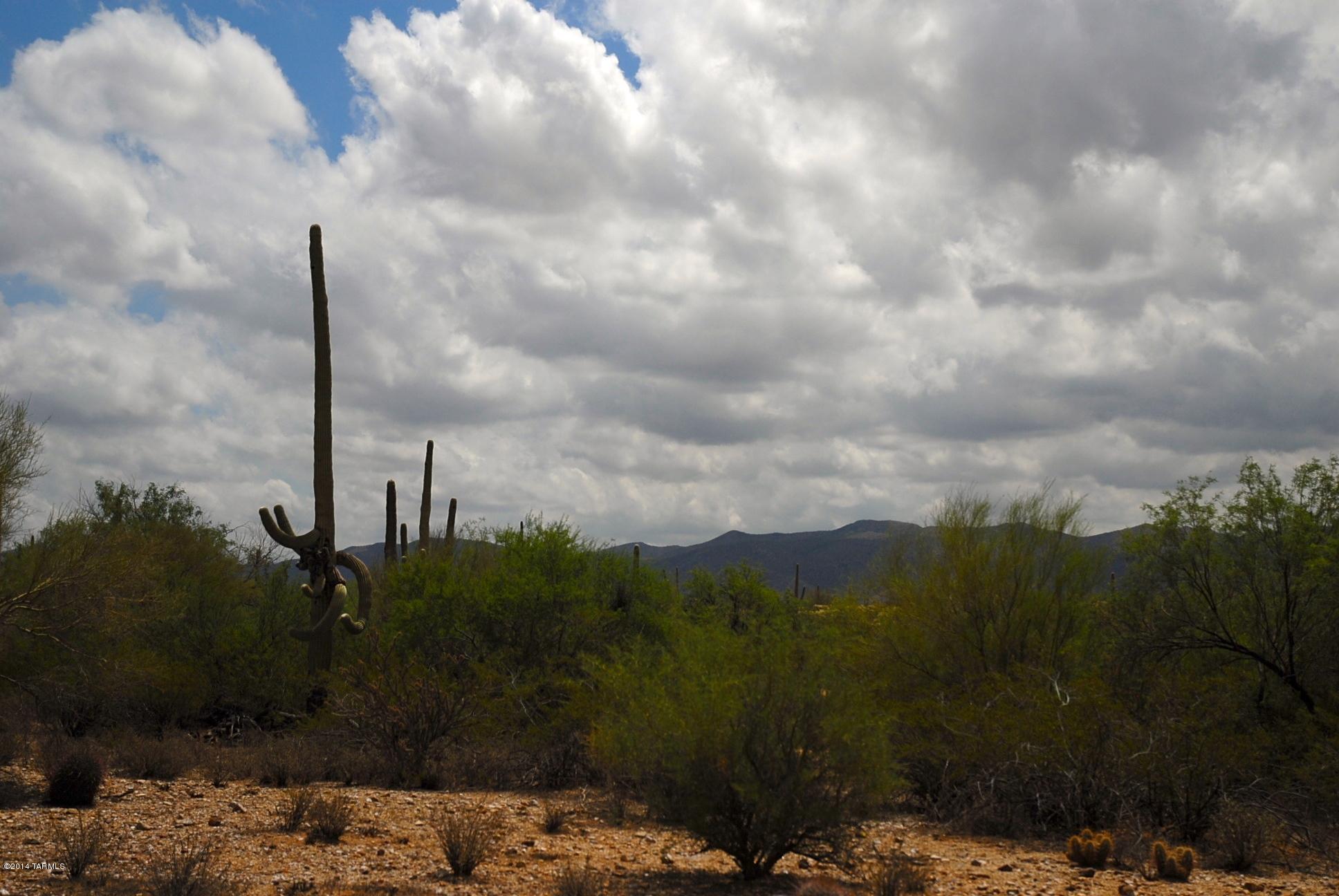 Xxx East Gas Line Road, Unit 5AC Marana, AZ 85658 - Photo 2 of 4