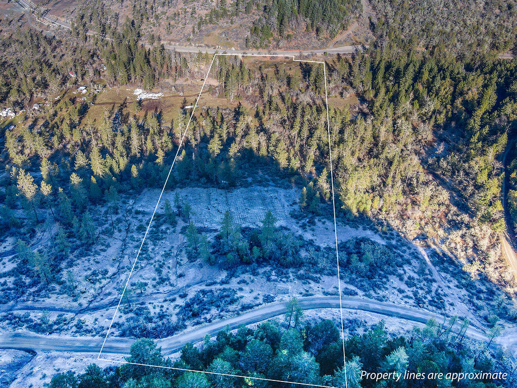 0 Waldo Road, Unit 403 Cave Junction, OR 97523 - Photo 10 of 17