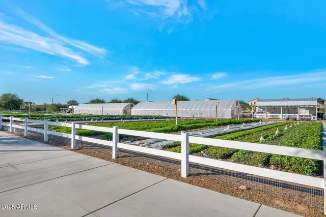 $875,000 | 10718 East Lumiere Avenue, Mesa, AZ 85212